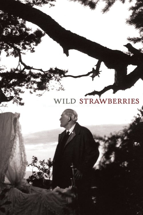 فيلم Smultronstllet / Wild Strawberries مترجم اون لاين